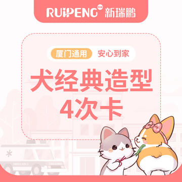 厦门犬经典造型4次卡 6-10kg